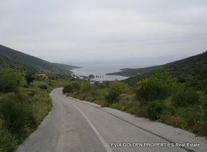 Μονοκατοικία προς πώληση Μπούφαλο (Δύστος) 8.000 τ.μ. 4 Υπνοδωμάτια