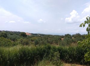 Μονοκατοικία προς πώληση Καραβάκι (Κάστρο Κυλλήνης) 80 τ.μ. 2 Υπνοδωμάτια Νεόδμητο