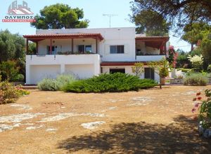 Βίλλα προς πώληση Κέντρο (Χανιά) 350 τ.μ. 4 Υπνοδωμάτια