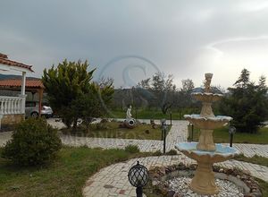 Μονοκατοικία προς πώληση Εξαμίλια (Κόρινθος) 114 τ.μ. 3 Υπνοδωμάτια