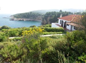 Διαμέρισμα προς πώληση Σηπιάδα 275 τ.μ. 3 Υπνοδωμάτια