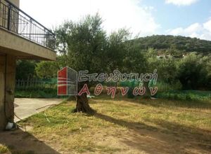 Μονοκατοικία προς πώληση Καρβελάς (Γύθειο) 77 τ.μ. 2 Υπνοδωμάτια