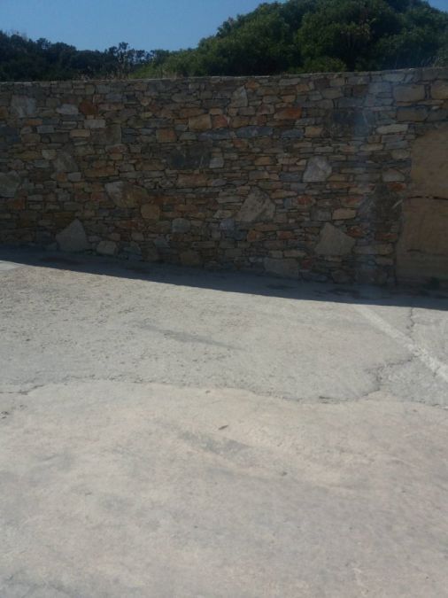 Photo 141022440