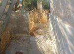 Photo 141022452