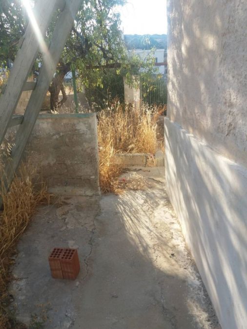 Photo 141022452