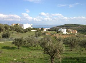 Οικόπεδο προς πώληση Άγιος Κωνσταντίνος 2.011 τ.μ.