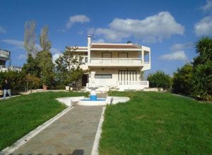 Βίλλα προς πώληση Χαλκούτσι (Κ. Σκάλας Ωρωπού) 455 τ.μ. 6 Υπνοδωμάτια