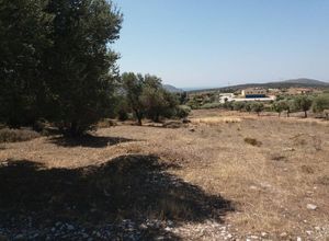 Photo 143848986