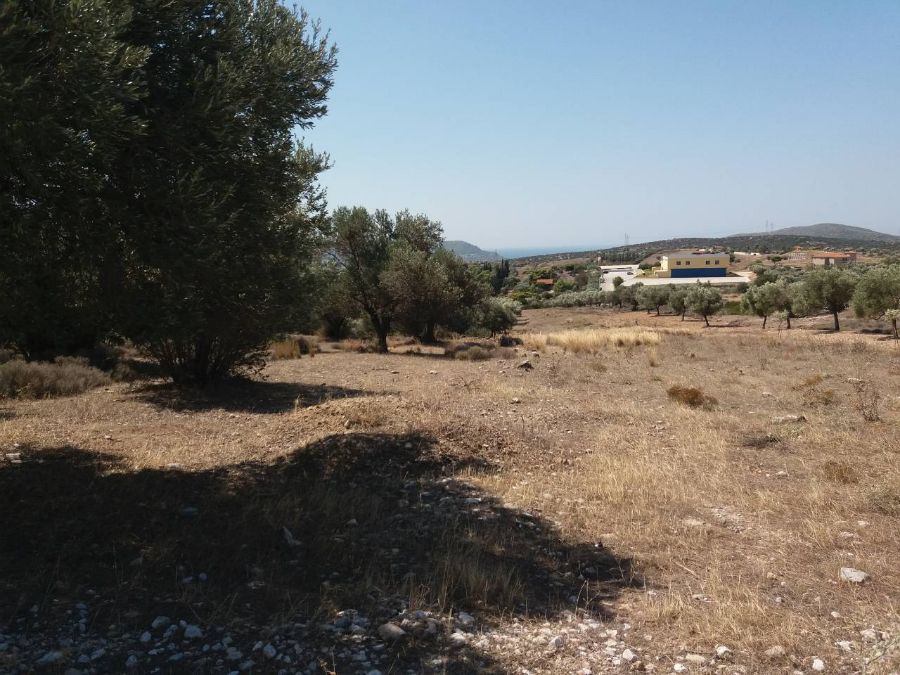 Photo 143848986