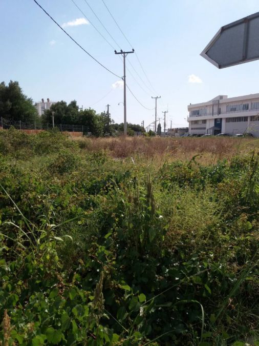 Photo 143921889