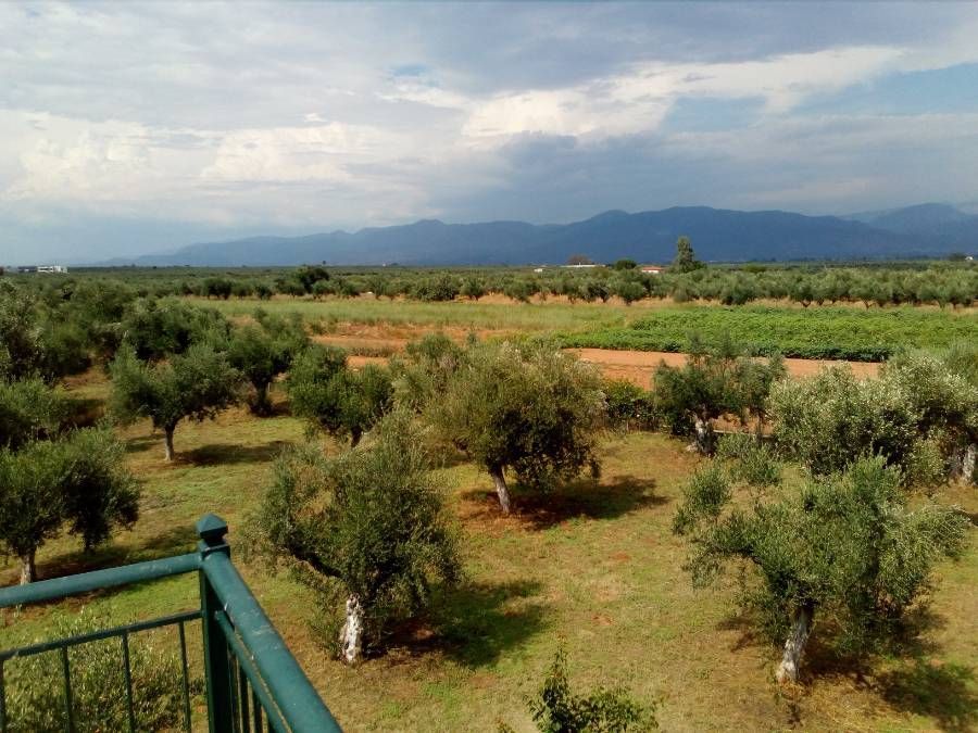Photo 143981676
