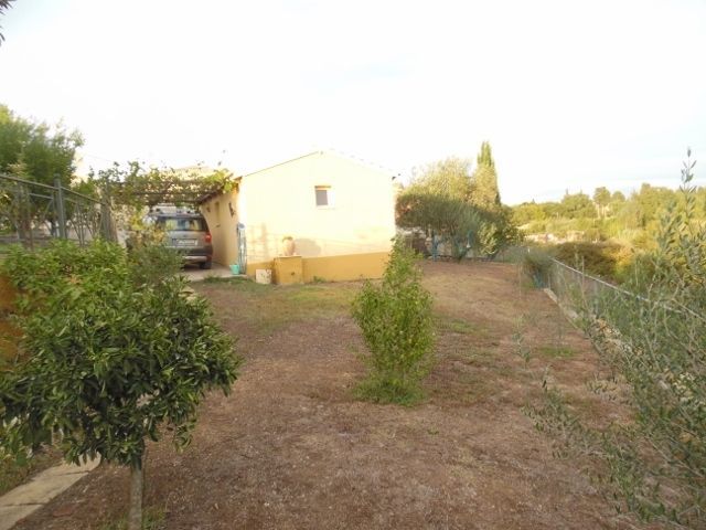 Photo 144034050