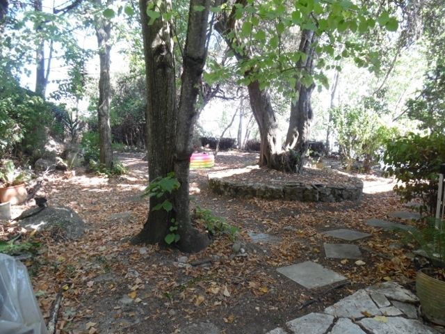 Photo 144340737