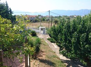 Μονοκατοικία προς πώληση Άγιος Γεώργιος (Λιχάδα) 200 τ.μ. 2 Υπνοδωμάτια