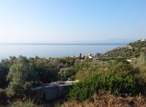 Μονοκατοικία προς πώληση Ήλια (Αιδηψός) 70 τ.μ. 2 Υπνοδωμάτια