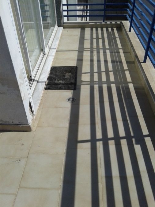 Photo 144918183