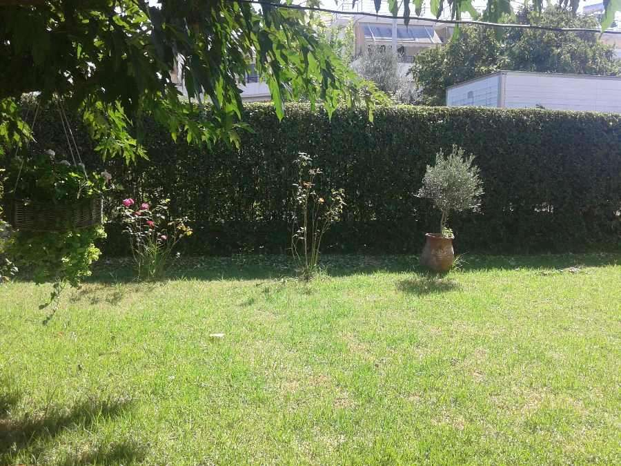 Photo 145209039