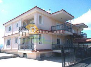 Συγκρότημα προς πώληση Πολυδένδρι 485 τ.μ. 10 Υπνοδωμάτια
