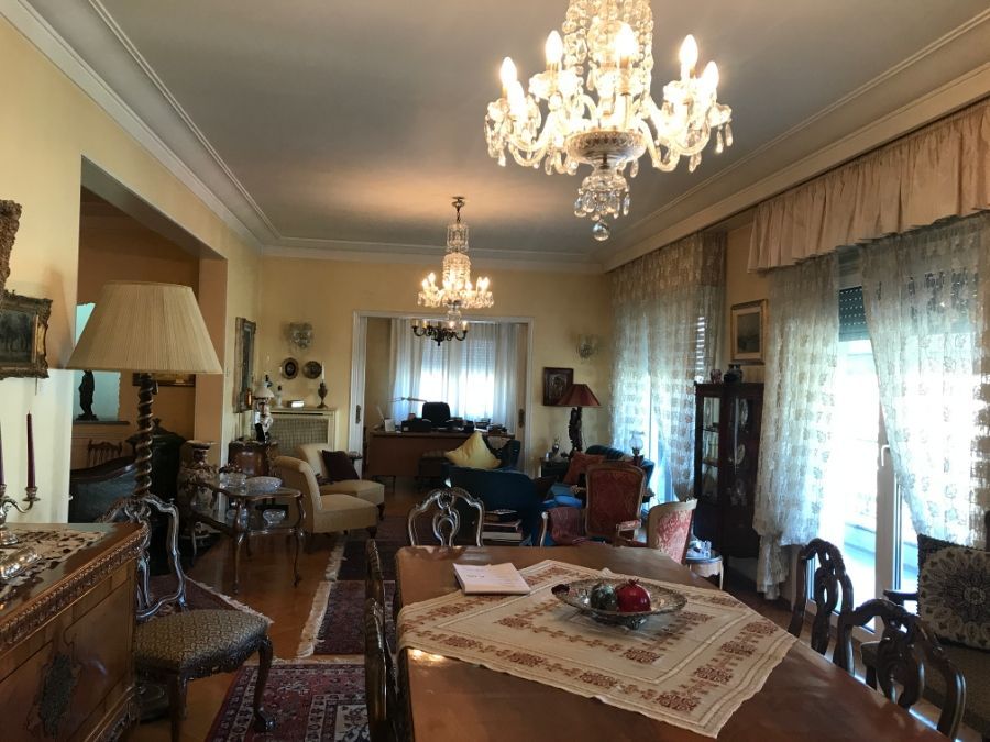 Photo 146050347