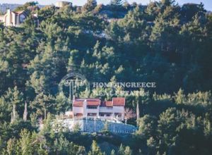 Βίλλα προς πώληση Μονιάτης 1.000 τ.μ. 6 Υπνοδωμάτια