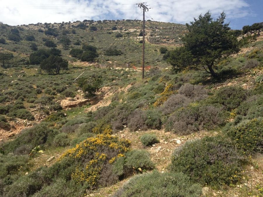 Plot Naxos property
