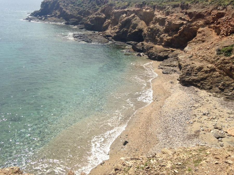 Photo 4