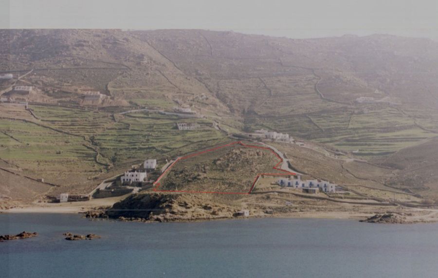 Plintri
