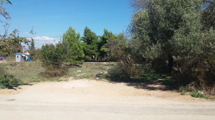 Plot Panorama