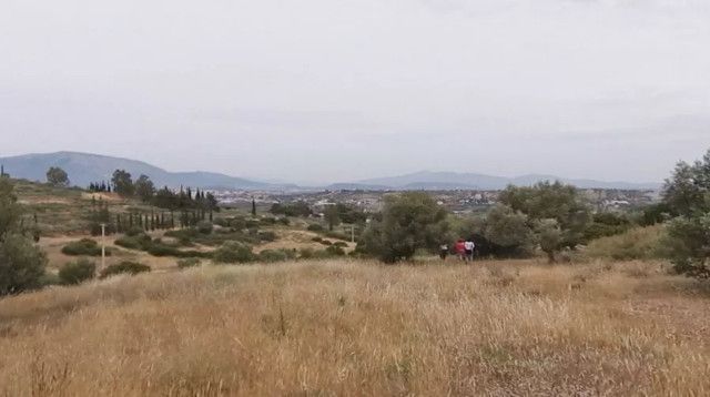 Plot Koropi