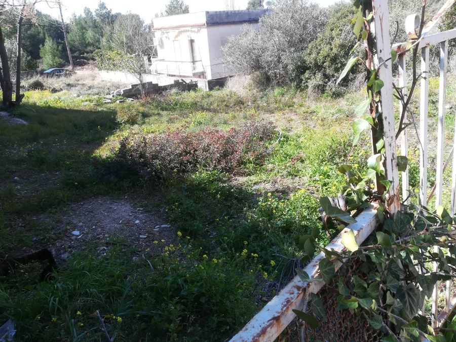 Plot Anthousa