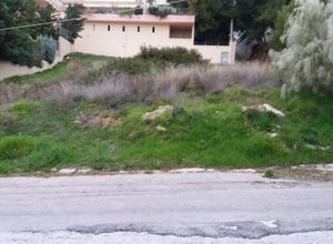 Plot Kalitexnoupoli