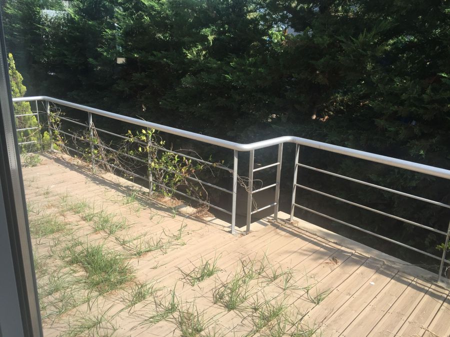 Photo 163577607