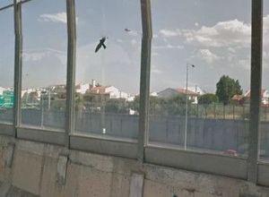 Plot Gargittos
