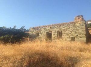 Andros