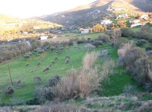 Plot Kea - Tzia