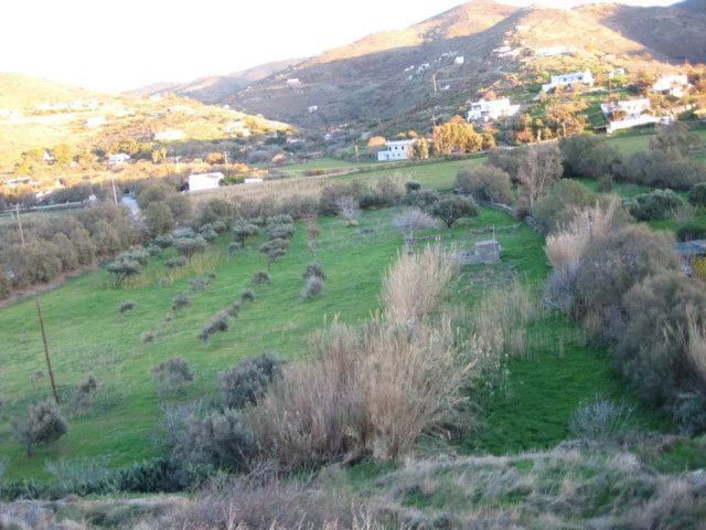 Plot Kea - Tzia