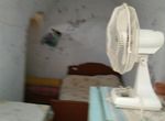 Foto 168917241