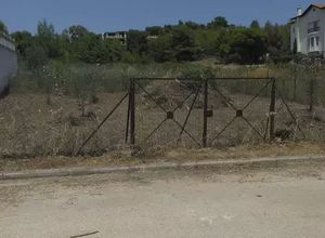 Plot Dioni