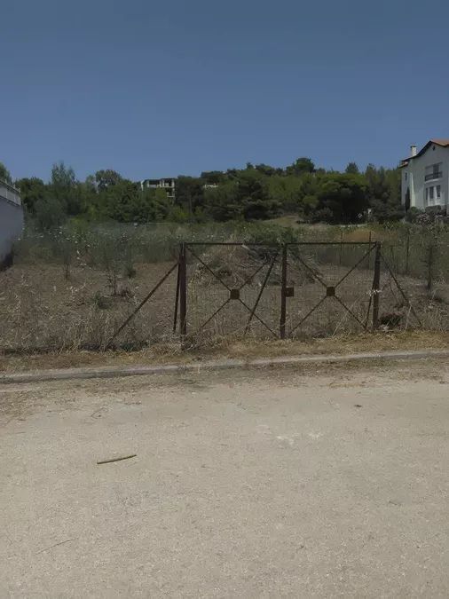 Plot Dioni