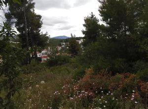 Plot Agios Stefanos