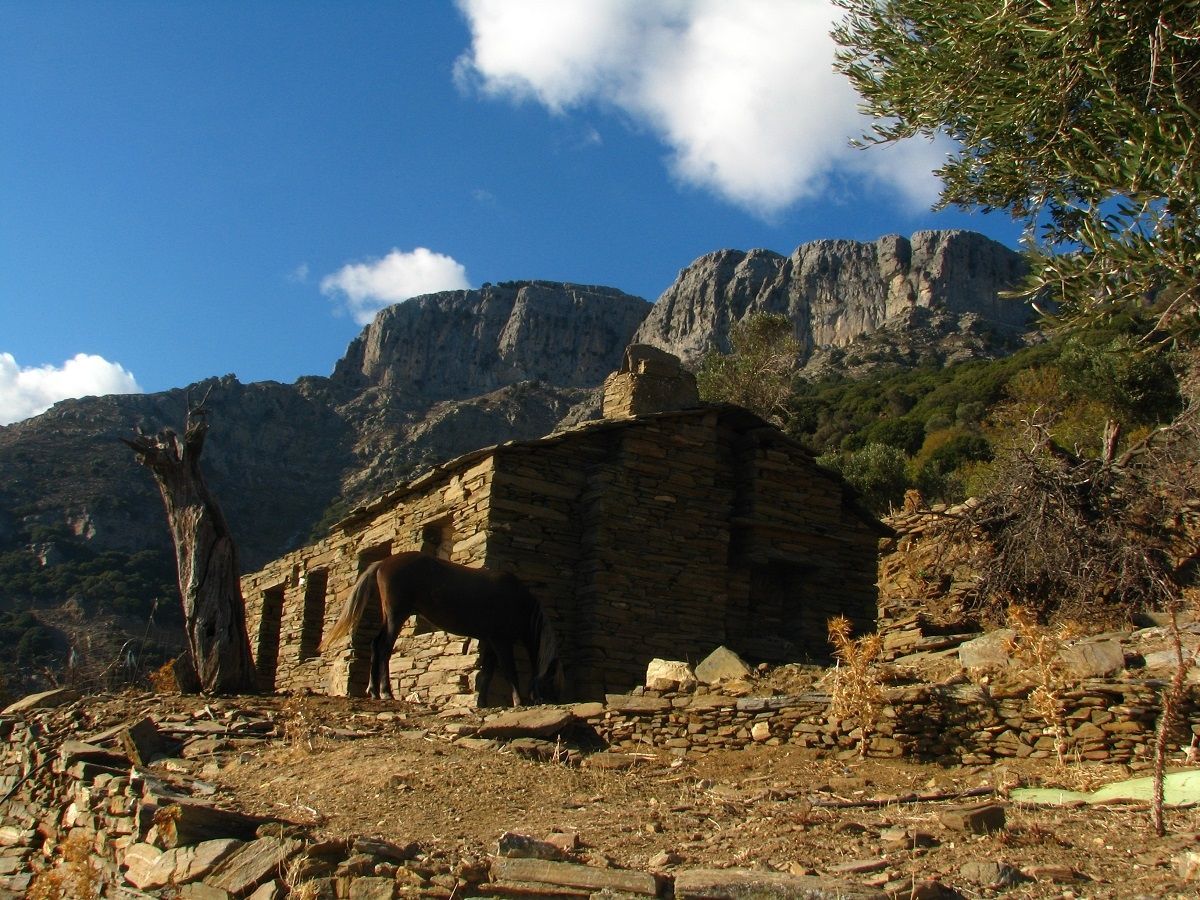 Land Plot for sale Agios Kirikos (Ikaria) Traditional construction in