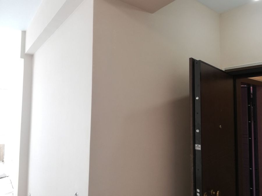 Photo 184830294