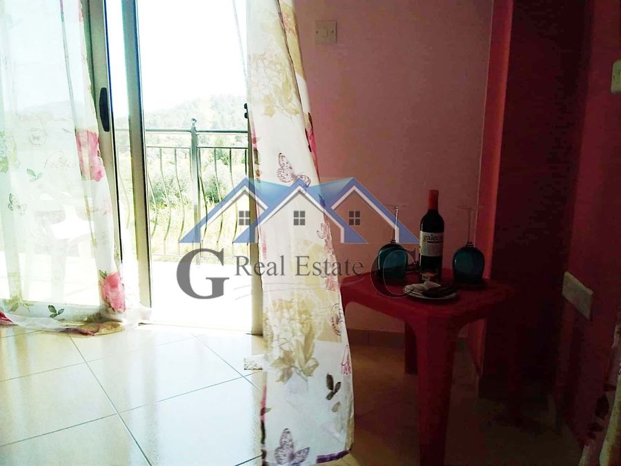 Снимка 185005173