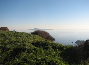 Plot Andros