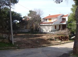 Plot Nea Penteli