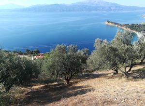 Οικόπεδο προς πώληση Μοναστηράκι (Ευπάλιο) 4.000 τ.μ.