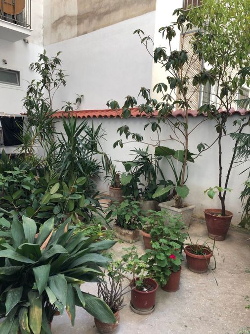 Photo 188069220