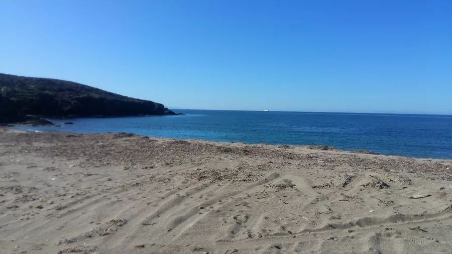 Andros