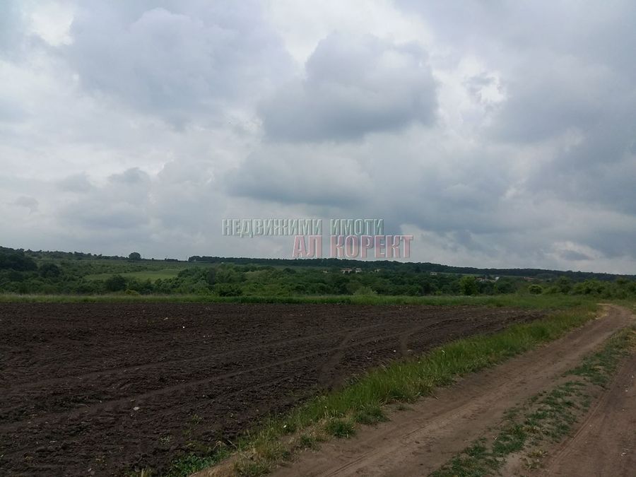 Снимка 191578206