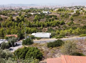 Plot Anthousa
